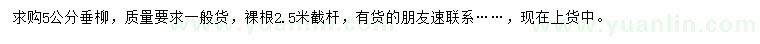 求購(gòu)5公分垂柳