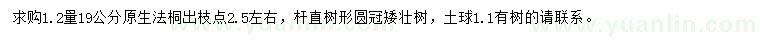 求購胸徑19公分法桐