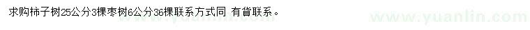 求購25公分柿子樹(shù)、6公分棗樹(shù)