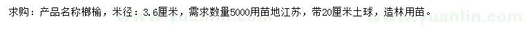 求購米徑3.6公分榔榆