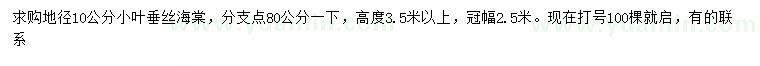 求購地徑10公分小葉垂絲海棠