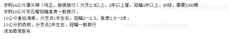 求購(gòu)饅頭柳、花石榴、垂絲海棠等