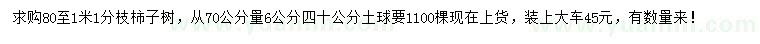 求購70量6公分柿子樹