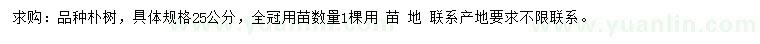 求購25公分樸樹