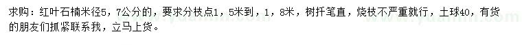 求購米徑5、7公分紅葉石楠