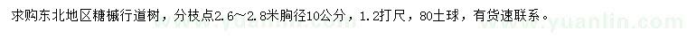 求購胸徑10公分糖槭