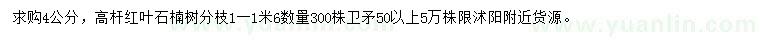 求購(gòu)4公分高桿紅葉石楠