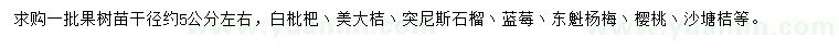 求購白枇杷、美大桔、突尼斯石榴等