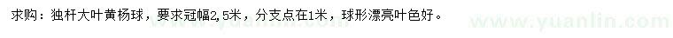 求購冠幅2.5米大葉黃楊球
