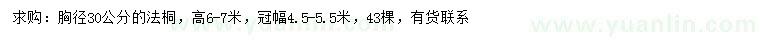 求購胸徑30公分法桐