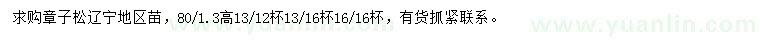 求購樟子松