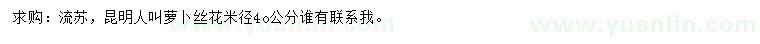 求購米徑40公分流蘇