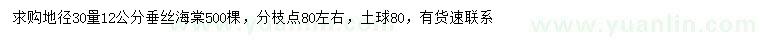 求購(gòu)30量12公分垂絲海棠