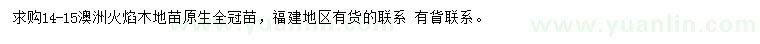 求購14-15公分澳洲火焰木
