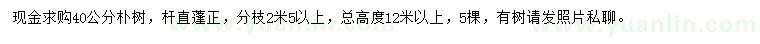 求購40公分樸樹