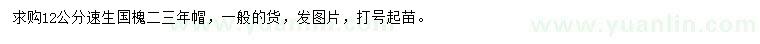 求購12公分速生國槐