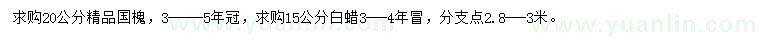 求購(gòu)20公分國(guó)槐、15公分白蠟