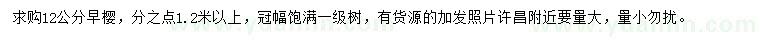 求購12公分早櫻
