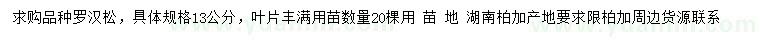 求購13公分羅漢松