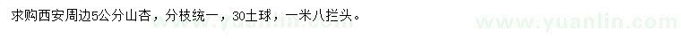求購(gòu)5公分山杏