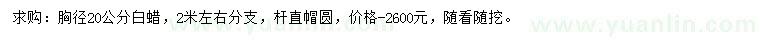 求購胸徑20公分白蠟