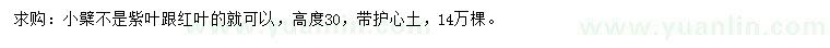 求購高30公分小檗