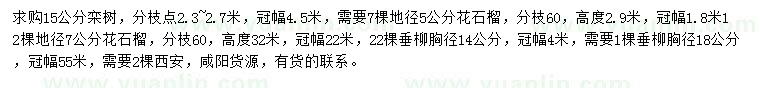 求購欒樹、花石榴、垂柳