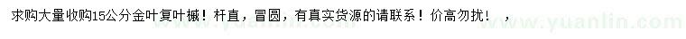 求購15公分金葉復(fù)葉槭