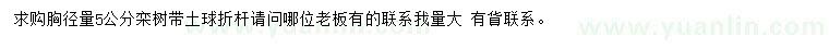 求購胸徑5公分欒樹