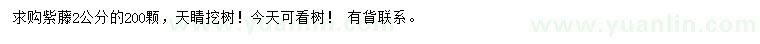 求購(gòu)2公分紫藤
