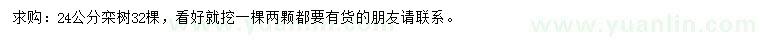 求購(gòu)24公分欒樹(shù)