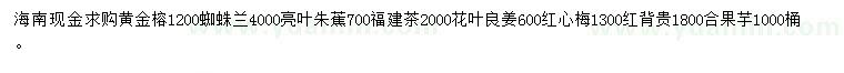 求購黃金榕、蜘蛛蘭、亮葉朱蕉等