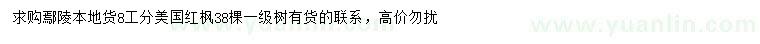 求購(gòu)8公分美國(guó)紅楓