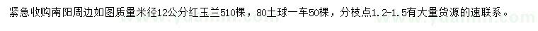 求購(gòu)米徑12公分紅玉蘭