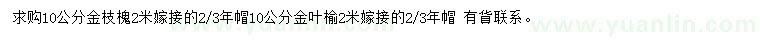 求購(gòu)10公分金枝槐、金葉榆
