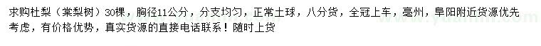 求購(gòu)胸徑11公分杜梨