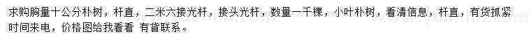 求購胸徑10公分小葉樸樹