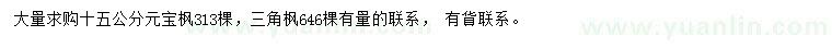 求購15公分元寶楓、三角楓