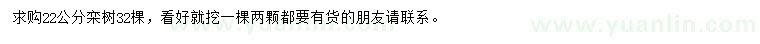求購22公分欒樹