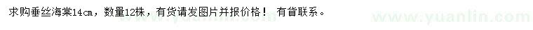 求購(gòu)14公分垂絲海棠