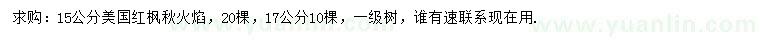 求購15、17公分美國紅楓秋火焰