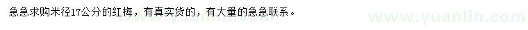 求購米徑17公分紅梅