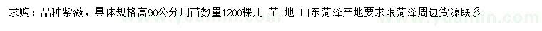 求購高90公分紫薇