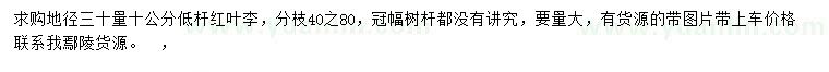 求購30量10公分紅葉李