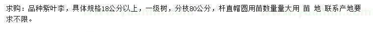 求購18公分以上紫葉李