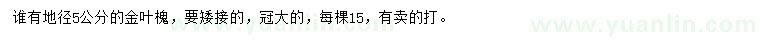 求購(gòu)地徑5公分金葉槐