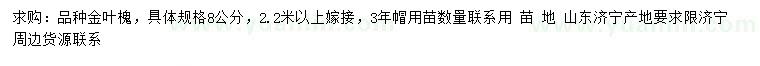 求購8公分金葉槐