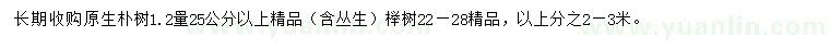 求購胸徑25公分以上樸樹、22-28公分櫸樹