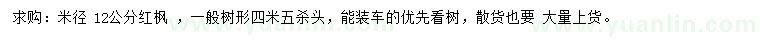求購米徑12公分紅楓 