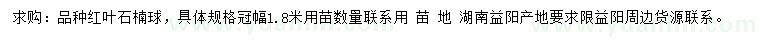 求購(gòu)冠幅1.8米紅葉石楠球